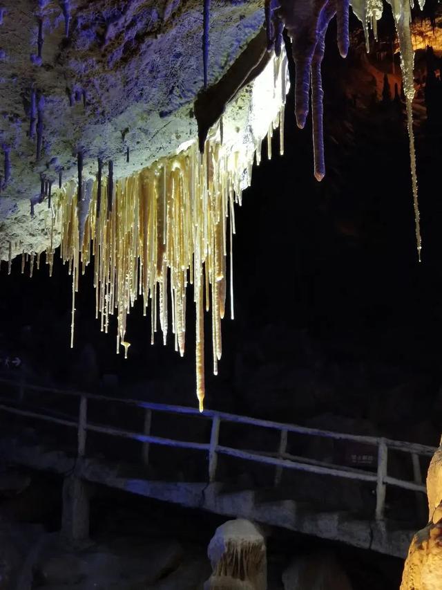 陇南市旅游景点，陇南旅游必去景点攻略（畅游陇南甘南）