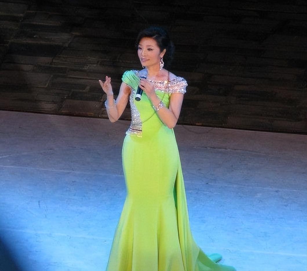 李丹阳演唱会丹心向阳庆功会(李丹阳演唱会2011)-寅森速头条