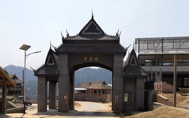 老曼峨属于什么茶类，为什么还有茶友喜欢喝