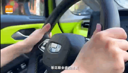 怎么画桂花树，怎么画桂花树古风（00后萌妹手绘赏桂攻略）