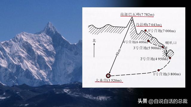 塔黄是什么植物，它被藏民预言为末日神山