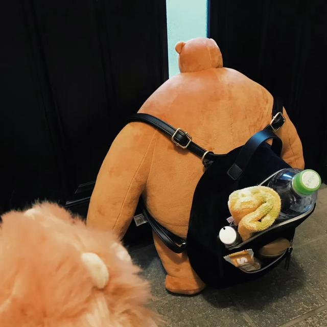 可爱的小熊头像微信，可爱的小熊头像（可爱小熊头像‖有趣可爱）