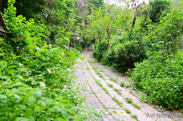 丝绸之路的路线，海上丝绸之路的路线（一条被荒弃在大山里的古道）