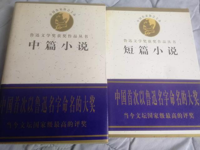 鲁迅文学奖获奖作品，中国历届鲁迅文学奖获奖作品（七届鲁迅文学奖获奖中短篇小说）