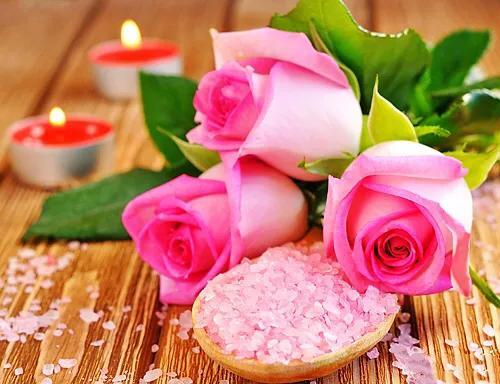 粉玫瑰代表什么，粉玫瑰代表什么意思（红玫瑰、白玫瑰、黄玫瑰、粉玫瑰的区别）