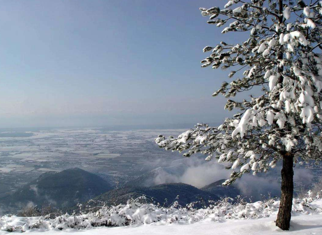 赠从弟原文及翻译其二，赠从弟原文及翻译其三（名列建安七子的刘桢何尝不是自勉）