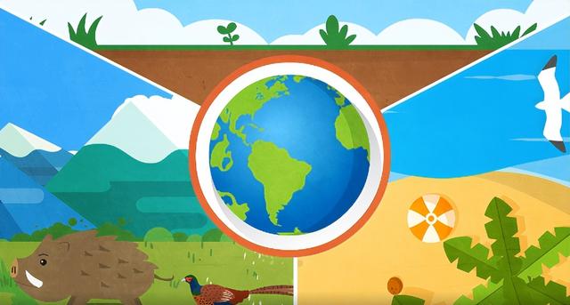 碳源碳汇什么意思，科普动画丨碳源、碳汇是什么