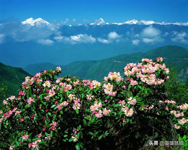 关于乔戈里峰介绍，乔戈里峰图片（但其攀登难度却进不了前三）