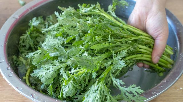500种家常菜的做法，菜谱夏天家常菜做法（12道家常菜做法分享）