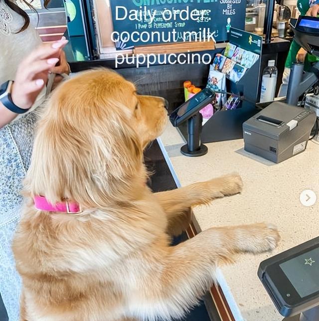 星巴克隐藏菜单，星巴克隐藏菜单攻略（星巴克终极隐藏菜单）