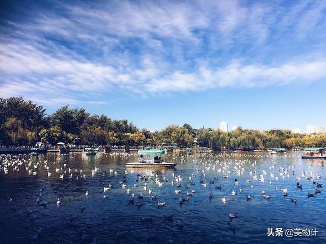 关于云南优美的句子，关于云南优美的句子有哪些（冬天，去云南邂逅慢时光）