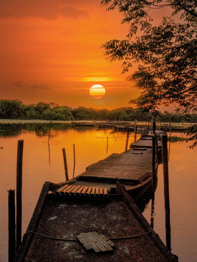 杭州开车一小时,横跨三个市的无人秘境,藏在森林里的艺术展