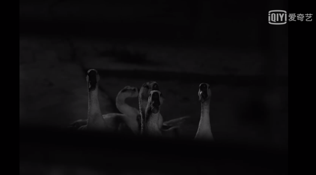 急用2万元钱怎么办走投无路，急需用钱又贷不了款怎么办（导演在电影院门口吆喝观众）