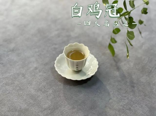 武夷岩茶之马头岩九龙窠肉桂，武夷岩茶入门
