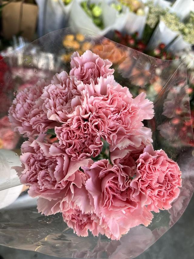 红康乃馨的花语和寓意，让她成为朋友圈女王