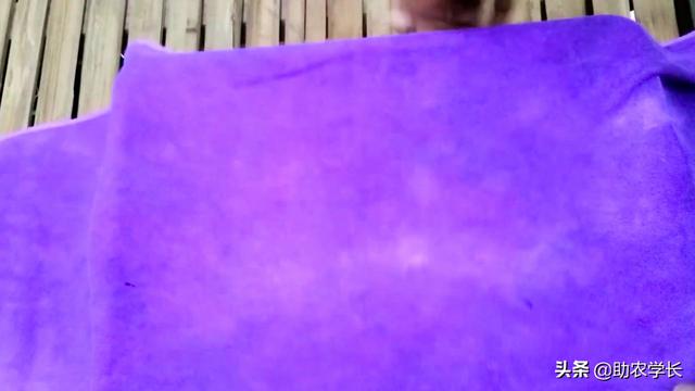 家庭绿豆种植简单方法技术，家庭绿豆种植简单方法技术说明（教你在家自发绿豆芽）