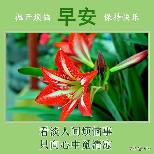 早上好表情包可爱，2022最新早上好表情包（早安可爱图片萌萌哒）