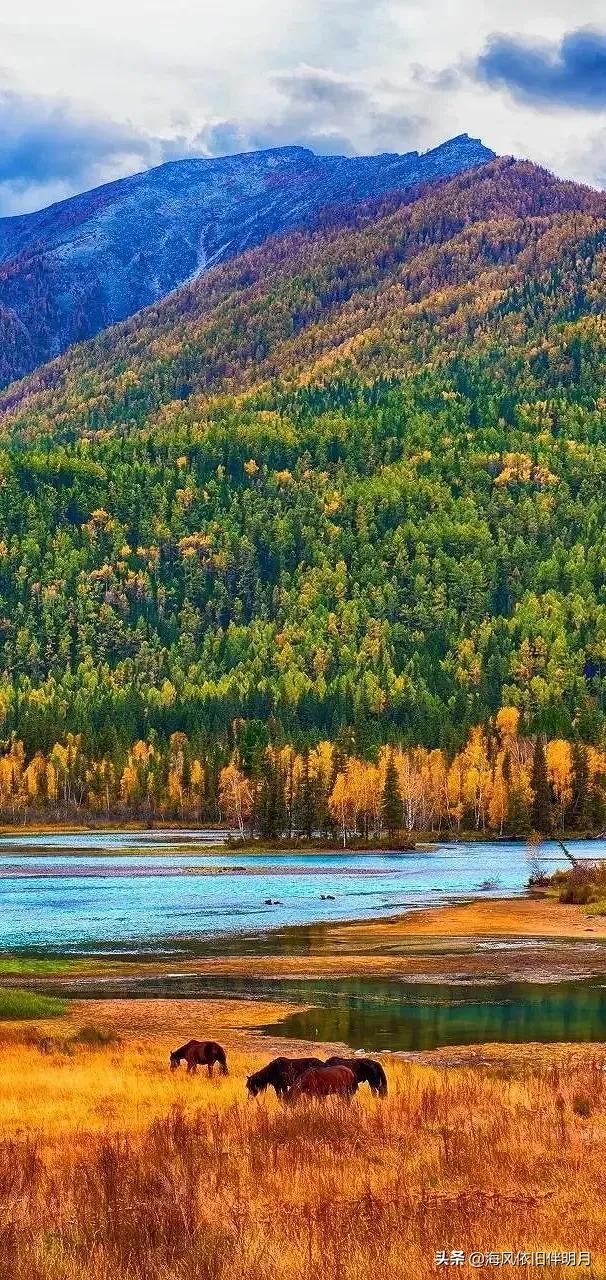 唯美照片，唯美照片风景（高清唯美自然风景图库）