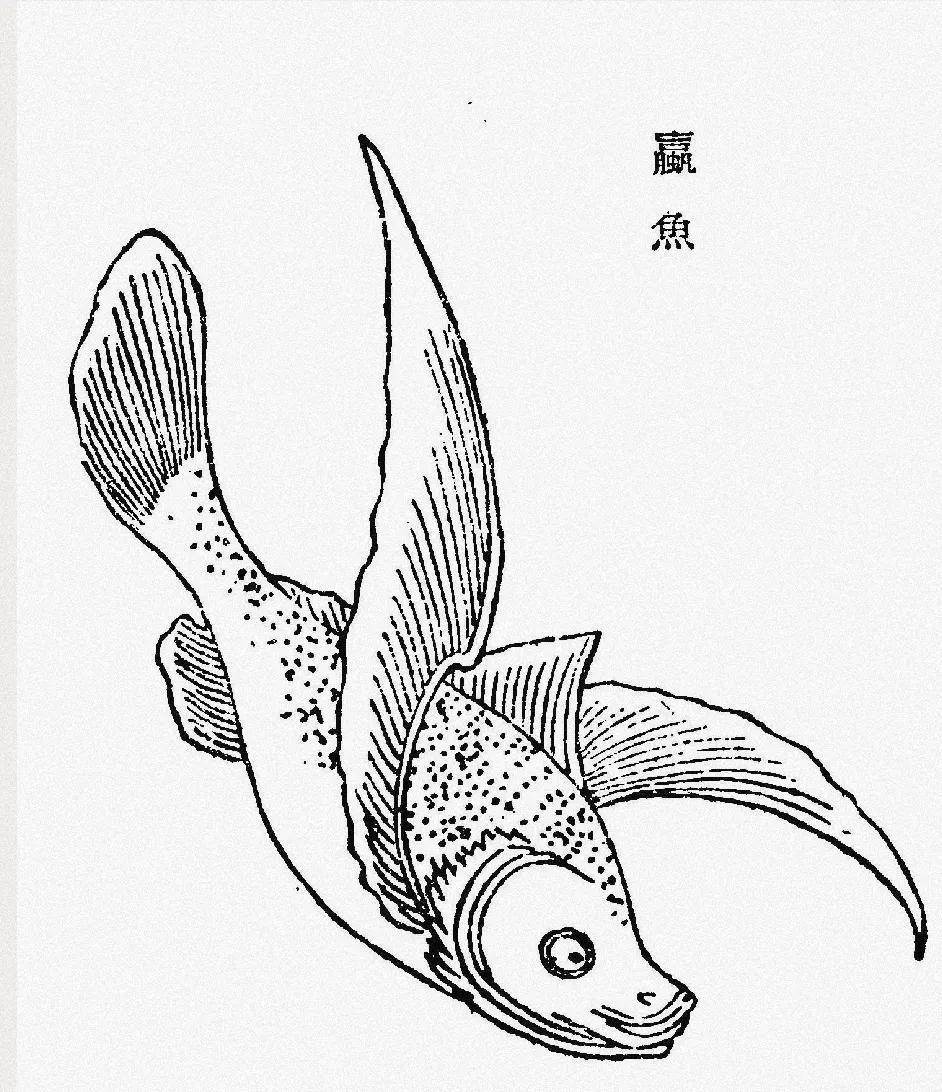 中国的妖怪《山海经》(十)