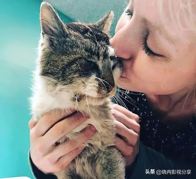 特别关心提示音，如何设置手机QQ特别关心提示音（猫咪关心你才有这6种表现）