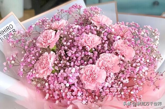 各种花的含义你都知道吗，花有哪些含义（300种花的寓意和花语）