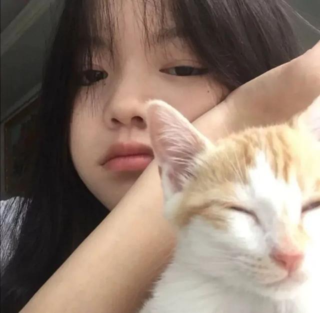 猫系女孩，微信头像，猫系女孩（女生头像：抱猫头像）