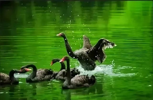 陇南有什么好玩的地方，陇南有哪些地方好玩（陇南这6处超好玩的宝藏打卡地）