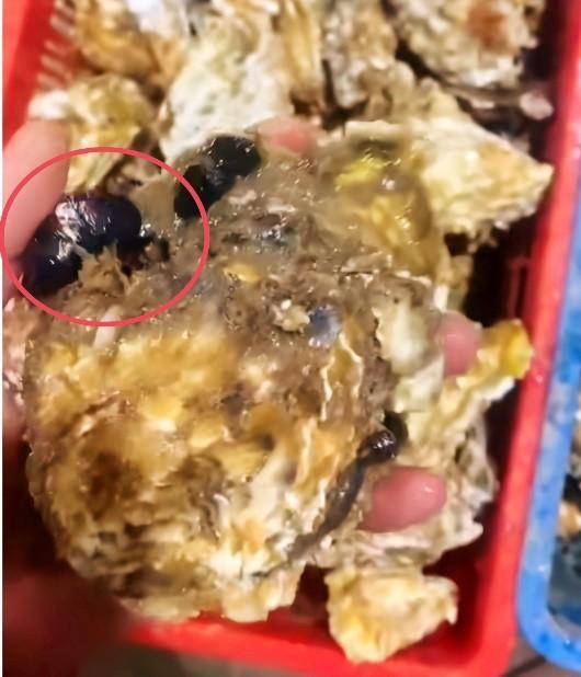 食用生蚝的注意事项，吃生蚝这些东西一定要注意