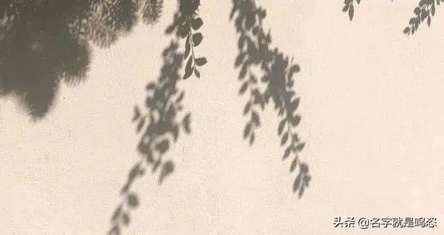 丁子裤是什么（穿丁字裤的女生，一定不检点）