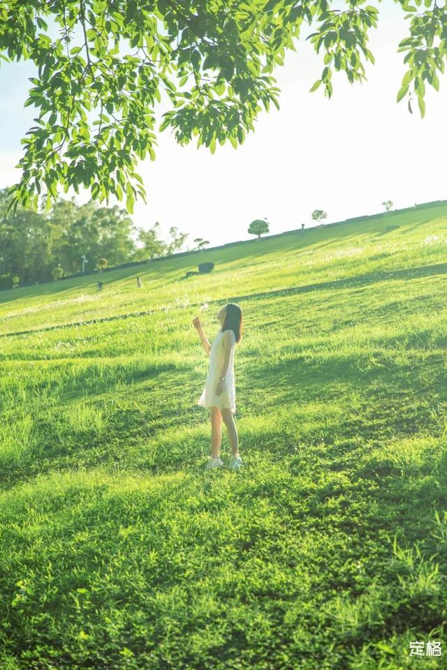 深圳一日游免费必去的地方，深圳最适合一日游的15个免费景点（深圳10个小众打卡地）