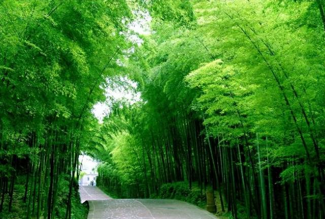 丛林法则是什么意思，丛林法则是什么意思怎么解释啊（让一个人变厉害的定律）