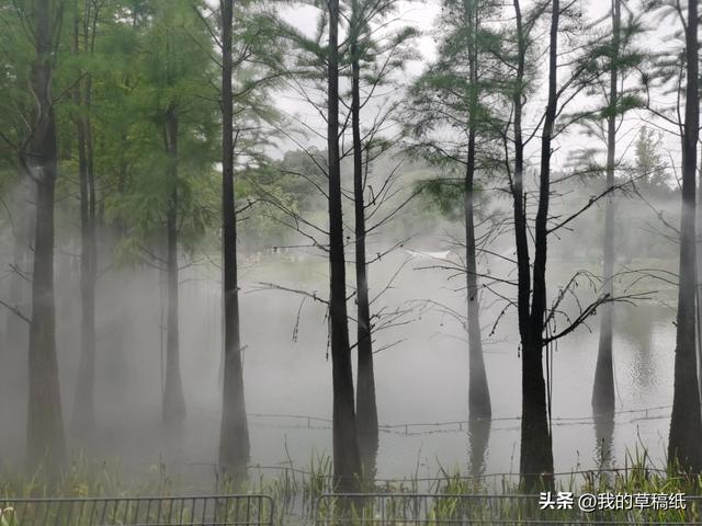 十一假期出游可畅玩银杏湖乐园，湖光山色风景迷人