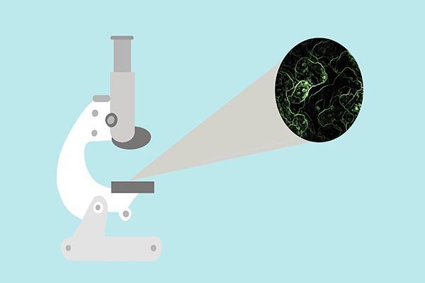 人指甲的功效与作用，手指甲能卖多少钱一斤（一个指甲有5万细菌）