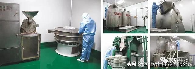 氧化镁的化学式，镁和氧气生成氧化镁的化学式（医药级氧化镁的两种应用方式）