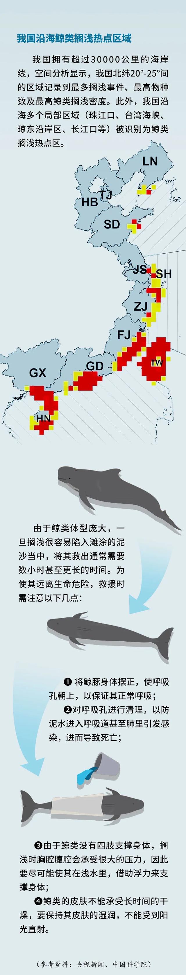 为什么鲸鱼会搁浅，为什么鲸鱼会搁浅英语（有“鲸”无险——鲸鱼搁浅背后发生了啥）