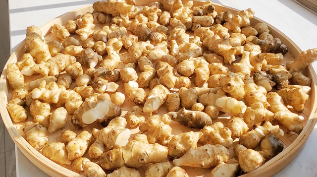 洋姜的做法大全，如何用洋姜做美食（遇见洋姜抓紧囤）