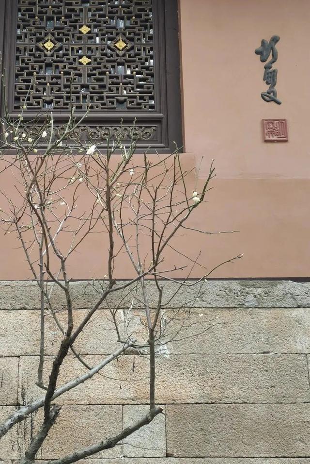 普陀山旅游攻略最新，普陀山旅游攻略2021（期待与你在普陀山朱家尖的邂逅~）