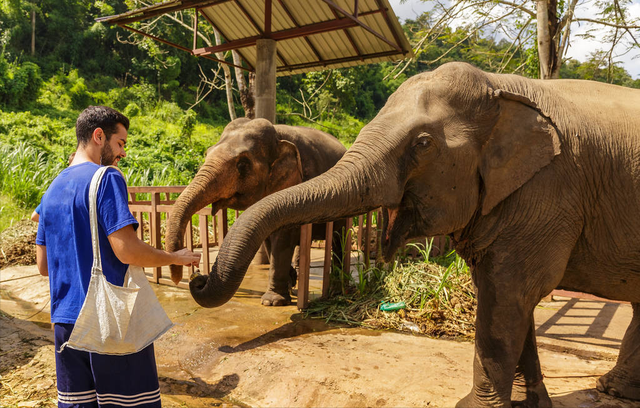 泰国没有冬天吗，为什么冬天去泰国（一个月工资是多少呢）
