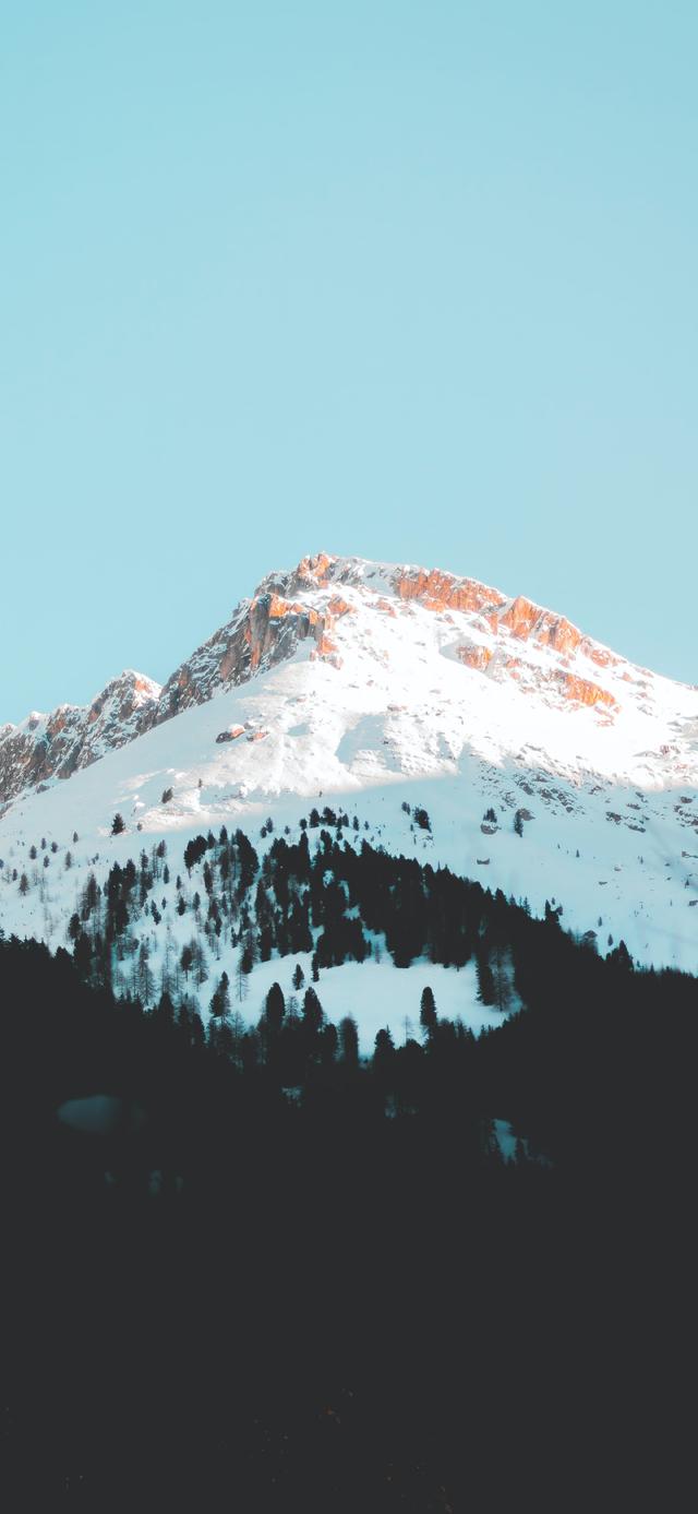 简短走心的文字背景图 怪我没有见过玫瑰，所以对野花情有独钟，最走心的图片文字（那一些念念不忘却没有回响的文案）