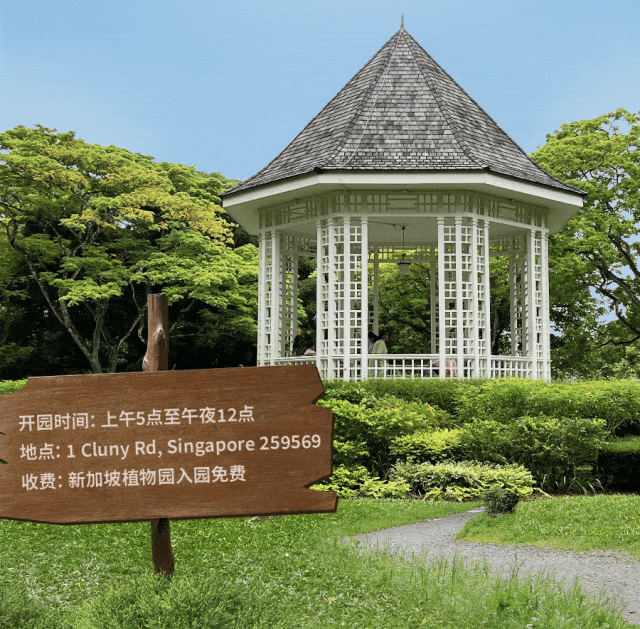 在狮城的花园里挖呀挖呀挖~ 周末打卡新加坡植物园