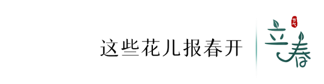 立春的寓意和象征，立春象征着什么（今日，立春）