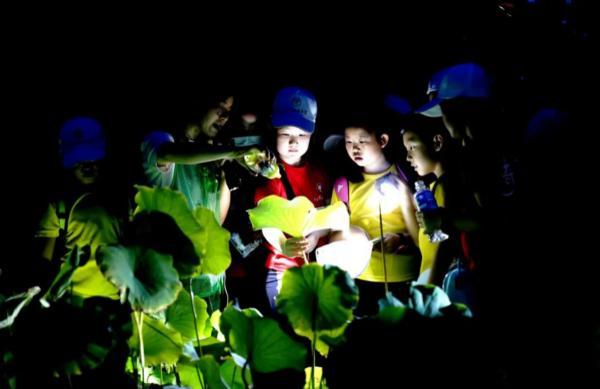 上海动漫城在哪，上海动漫城营业时间（喜欢上海的理由）