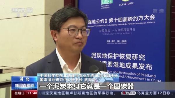 湿地能够吸收空气中的二氧化碳，湿地能够吸收空气中的二氧化碳吗（我国将加大泥炭沼泽湿地保护）