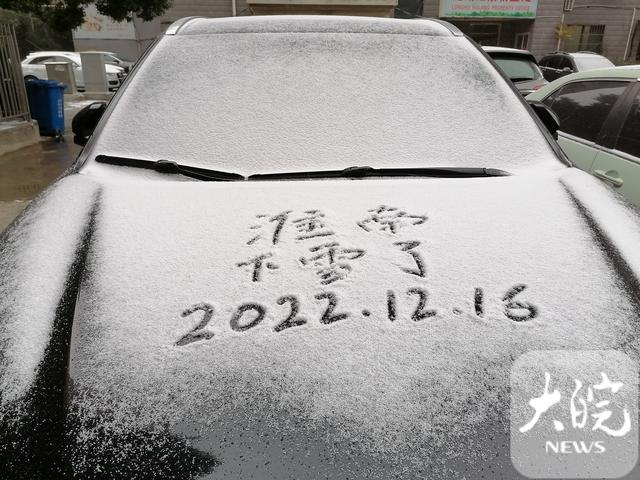 淮南市花是什么花，淮南花店推荐（菊花雪中绽放格外艳）